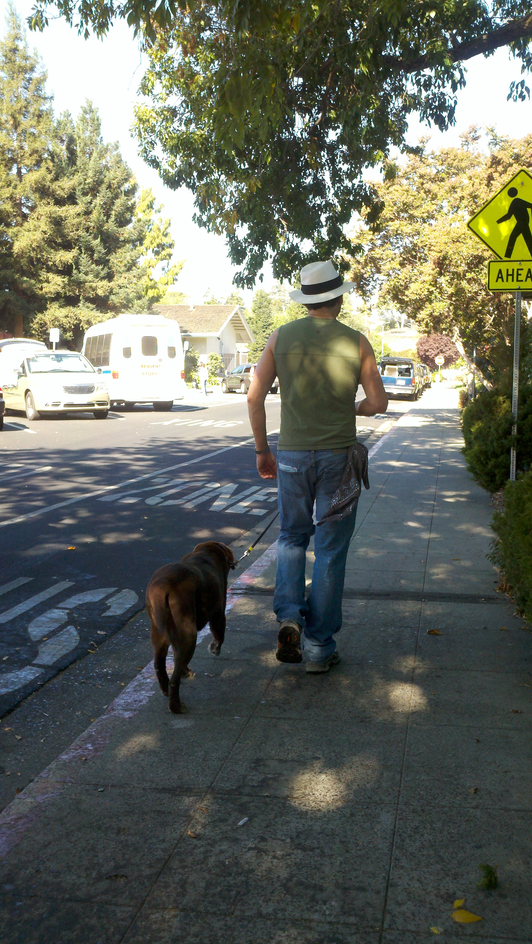 Nashoba walking with Alan in Redwood City